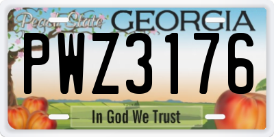 GA license plate PWZ3176