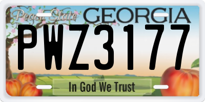 GA license plate PWZ3177