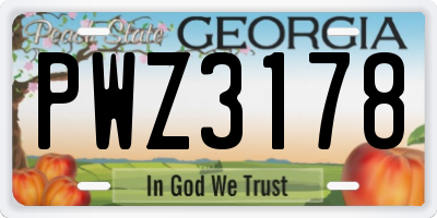 GA license plate PWZ3178