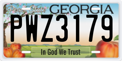 GA license plate PWZ3179