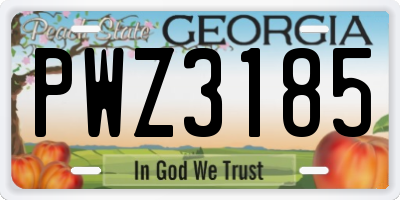 GA license plate PWZ3185