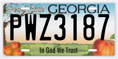 GA license plate PWZ3187