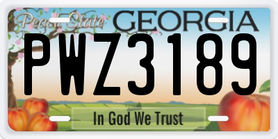 GA license plate PWZ3189