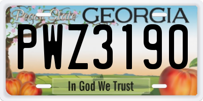 GA license plate PWZ3190