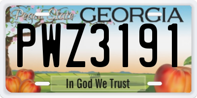 GA license plate PWZ3191