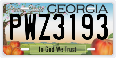 GA license plate PWZ3193