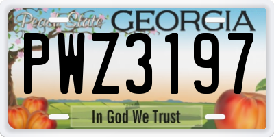 GA license plate PWZ3197