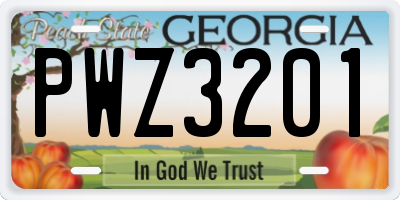 GA license plate PWZ3201
