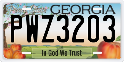GA license plate PWZ3203