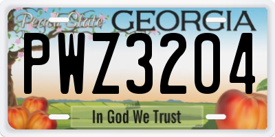 GA license plate PWZ3204