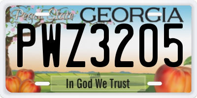 GA license plate PWZ3205