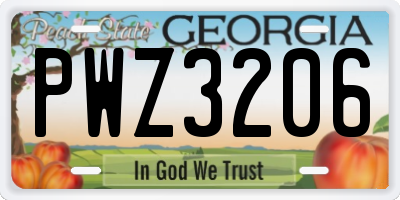 GA license plate PWZ3206