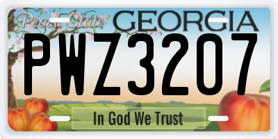 GA license plate PWZ3207