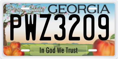 GA license plate PWZ3209