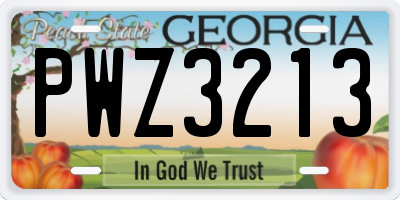 GA license plate PWZ3213