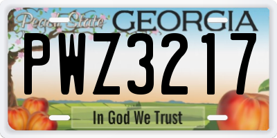 GA license plate PWZ3217