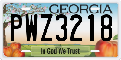 GA license plate PWZ3218
