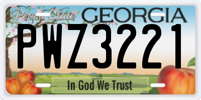 GA license plate PWZ3221
