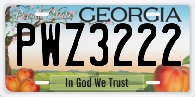 GA license plate PWZ3222