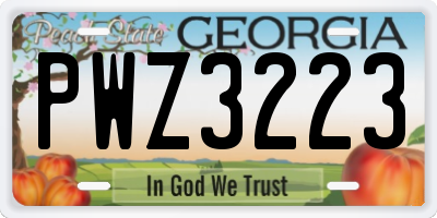 GA license plate PWZ3223
