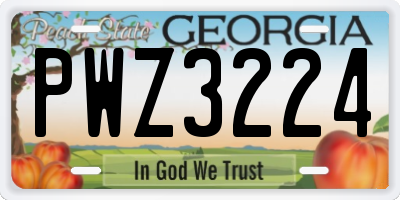 GA license plate PWZ3224