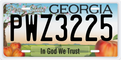 GA license plate PWZ3225