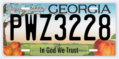 GA license plate PWZ3228