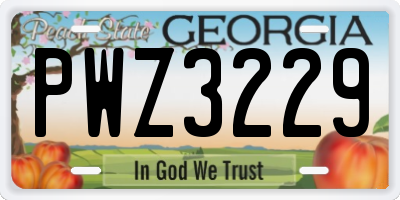 GA license plate PWZ3229