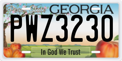 GA license plate PWZ3230
