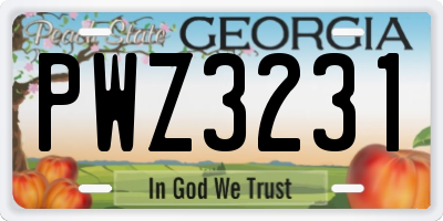 GA license plate PWZ3231