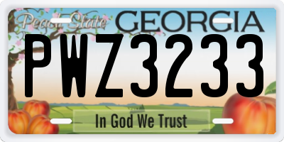 GA license plate PWZ3233