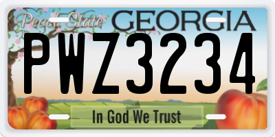 GA license plate PWZ3234