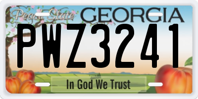 GA license plate PWZ3241