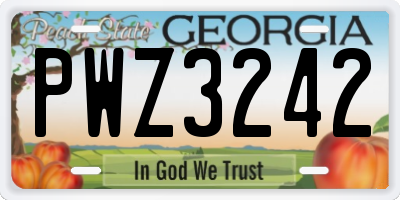GA license plate PWZ3242
