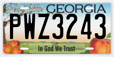 GA license plate PWZ3243