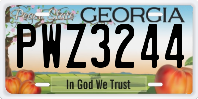 GA license plate PWZ3244