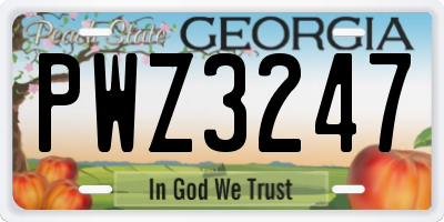 GA license plate PWZ3247