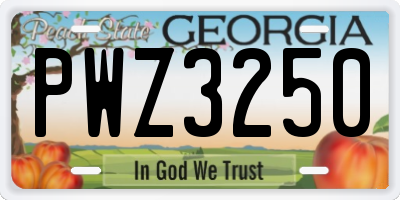 GA license plate PWZ3250