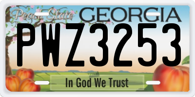 GA license plate PWZ3253