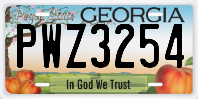 GA license plate PWZ3254