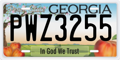 GA license plate PWZ3255