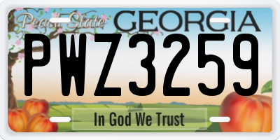 GA license plate PWZ3259