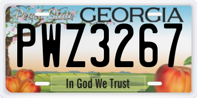 GA license plate PWZ3267