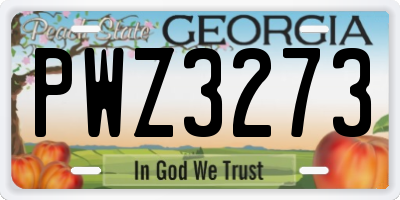 GA license plate PWZ3273