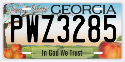 GA license plate PWZ3285