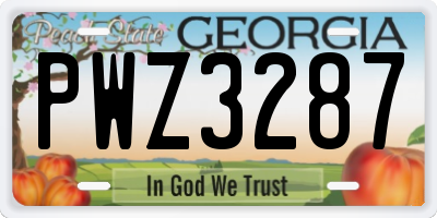 GA license plate PWZ3287