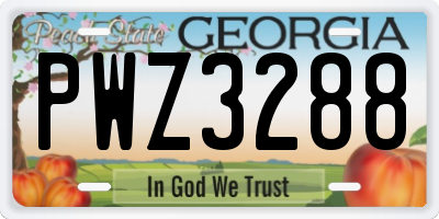 GA license plate PWZ3288