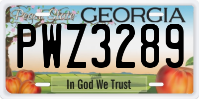 GA license plate PWZ3289