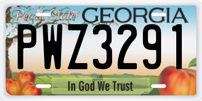 GA license plate PWZ3291