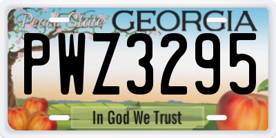 GA license plate PWZ3295